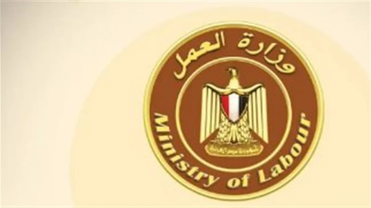 دمج ذوي الهمم.. أولويات حقيبة حسن رداد الجديدة لتطوير ملف التدريب بوزارة العمل